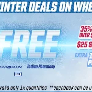 WINTER DEALS ON WHEELS 870x200.jpg