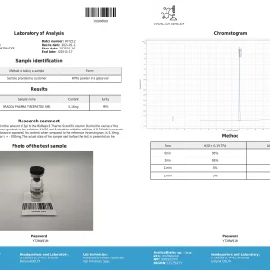 LAB REPORT.webp