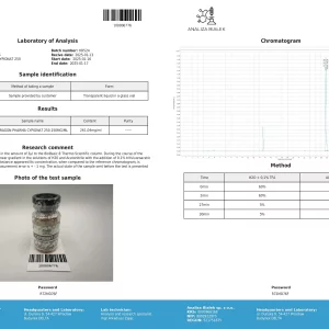 LAB REPORT.webp