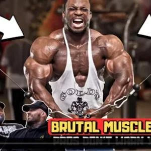 Media 'AMA.webp' in category 'Meso Morph Media'