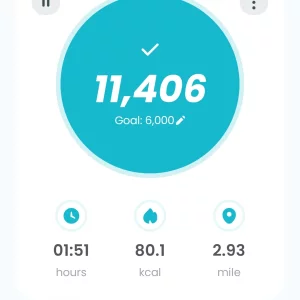 Screenshot_20260527_221735_Pedometer StepGo.webp