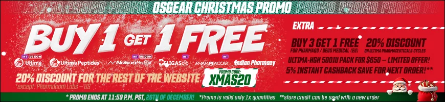 CHRISTMAS PROMO 870x200.webp