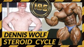 Evolutionary.org-Hardcore-186-Dennis-Wolf-Steroid-Cycle