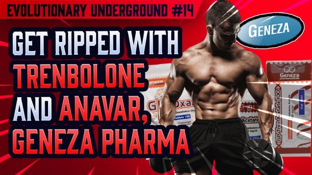 Evolutionary.org-Underground-14-Get-Ripped-with-Trenbolone-and-Anavar-Geneza-Pharma